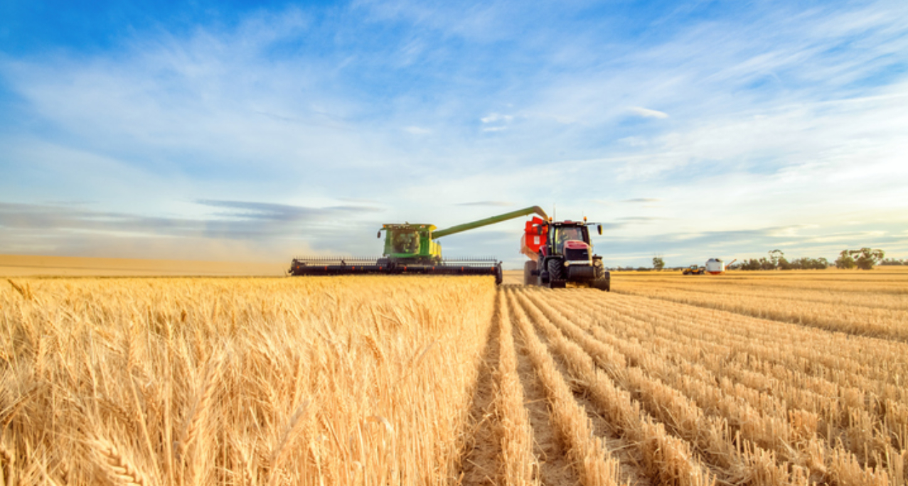 harvesting